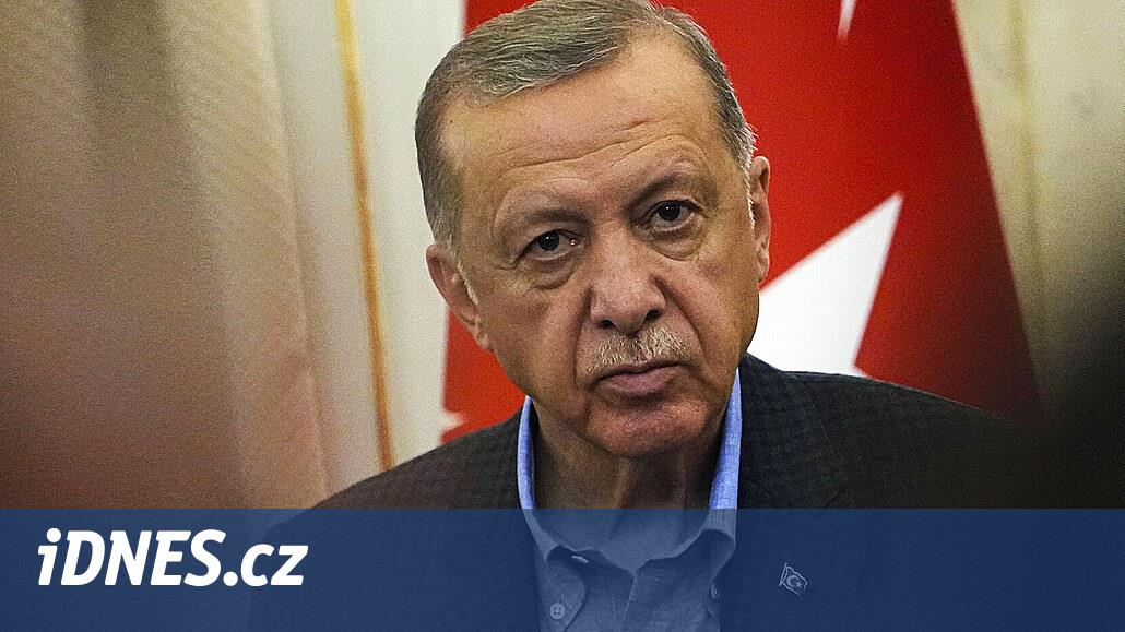 Erdogan verklagt deutschen Politiker wegen Verleumdung, nannte den Präsidenten eine Ratte
