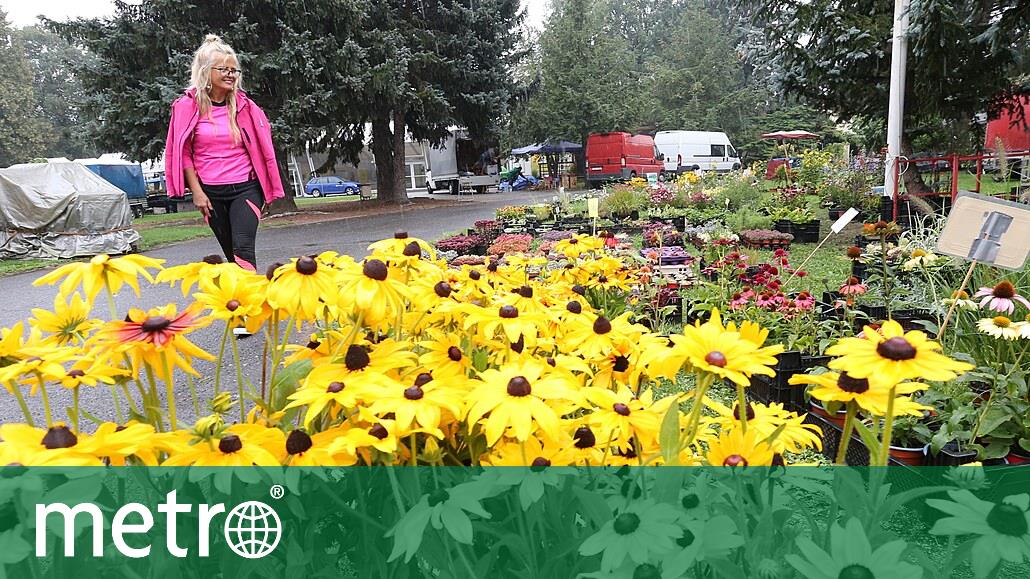 Zahradu Čech navštívilo více než 54 tisíc lidí