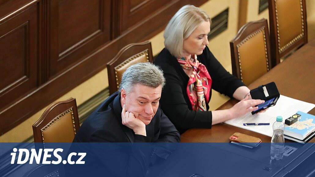 Milletvekilleri LGBT çiftler için hem tecavüzün hem de evliliğin tanımını tartışacak