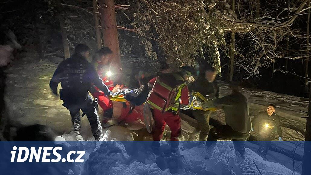 Avcı Frdecko-Mstec ormanında kayboldu, köpek ise hayata döndürülemedi