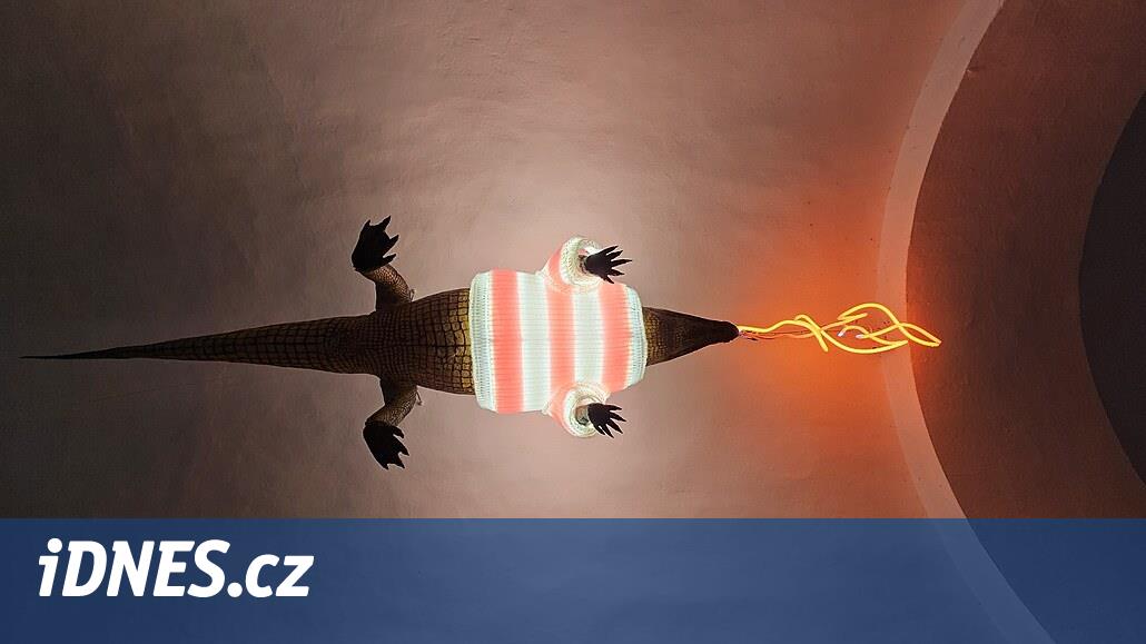 Pořadatel vánočních trhů v Brně vrací úder, zastupitele SPD viní z pomluvy