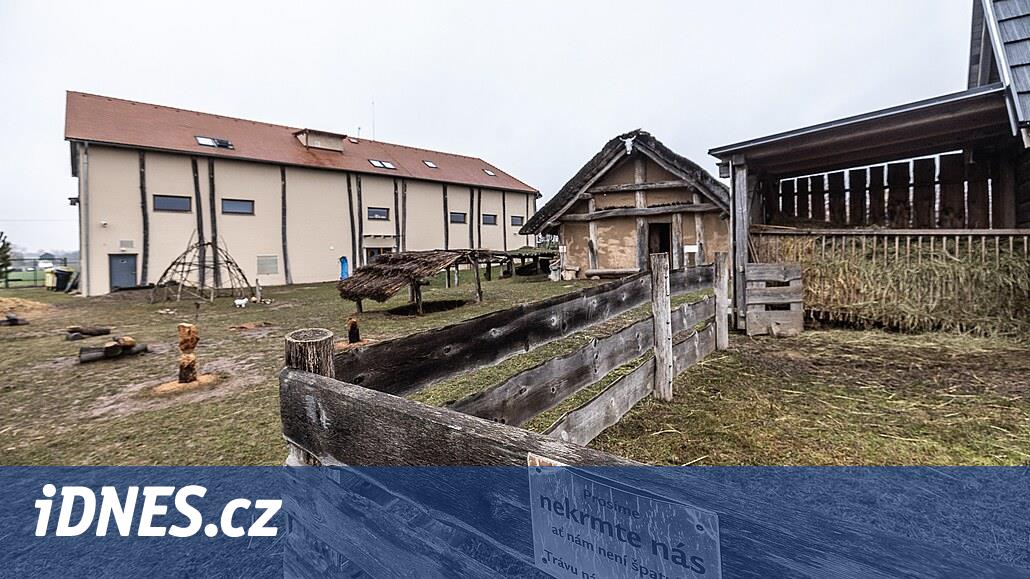 Všestarský arkeoparkı genişletilecek, yeni ekranlar ve dev bir tekne tarih öncesi çağları yakınlaştıracak
