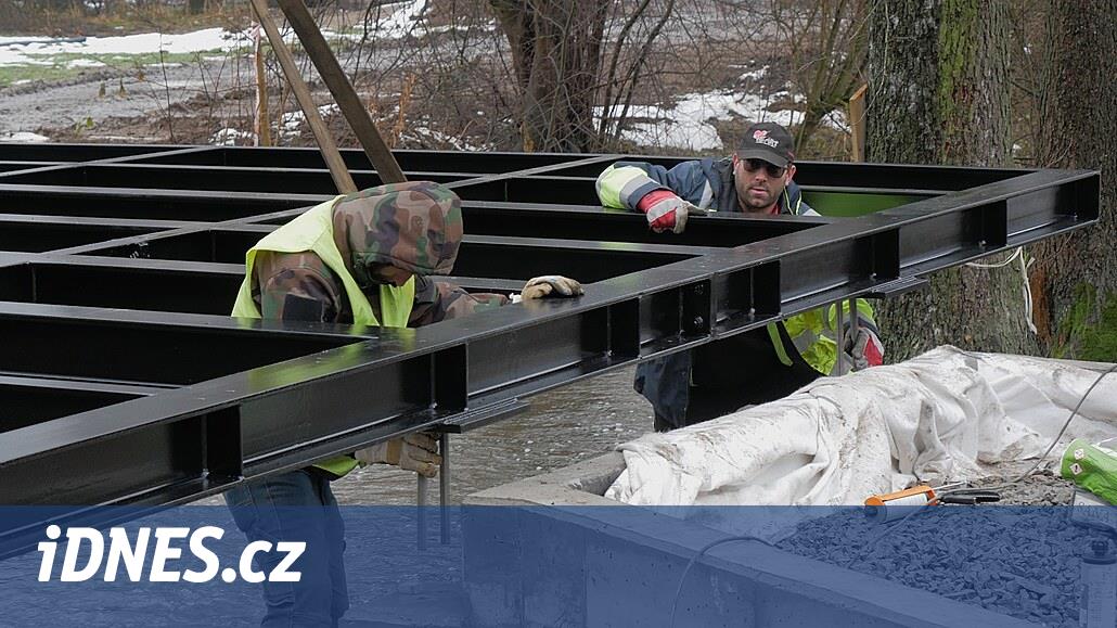 İlk dişi aslanın taşınması kazayla sonuçlandı, köpek Szavu jeb tarafından öldürüldü