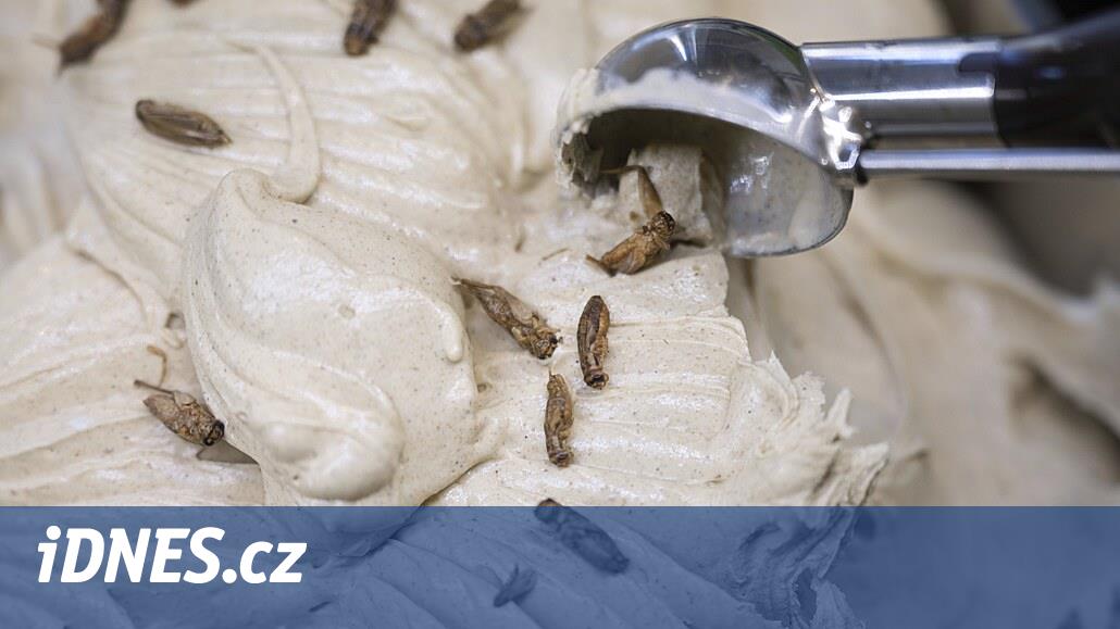 Animic ice cream or chicken flavored ice cream.  Insects also spray on it