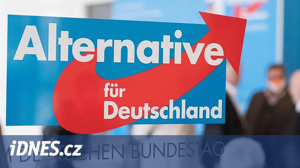 The Alternative for Germany party is not allowed to run in the elections in Bermachi.  And to your liking