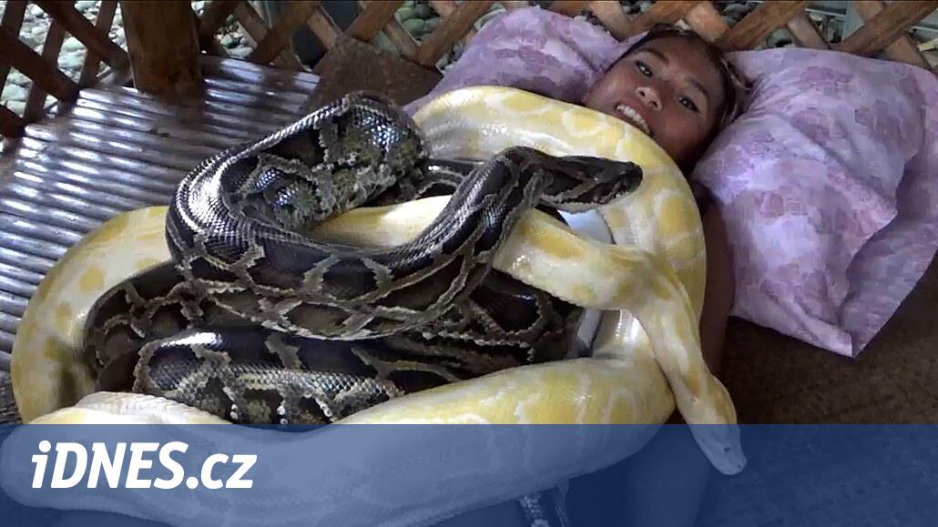 Video: Most importantly, keep calm.  How to breed snakes in the Philippines