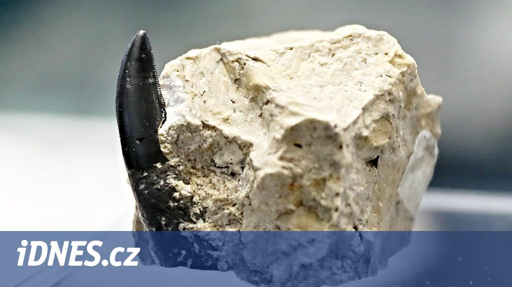 Před 100 lety zemřel vědec, který dokázal, že i u nás žili draví dinosauři - iDNES.cz