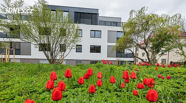Hradec Králové bölgesi sağlık çalışanlarını çekmek için uygun fiyatlı apartmanlar inşa etmeyi planlıyor. Opočno'da başlayabilir