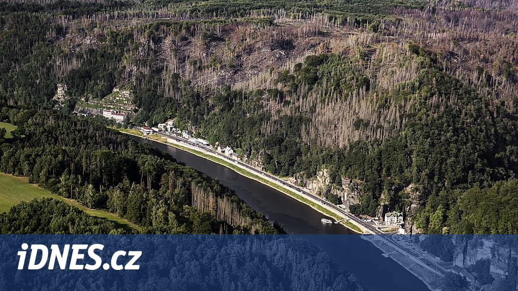 Çek İsviçre'de turistler için daha az etkinlik ve daha iyi otobüs bağlantıları arzu ediliyor