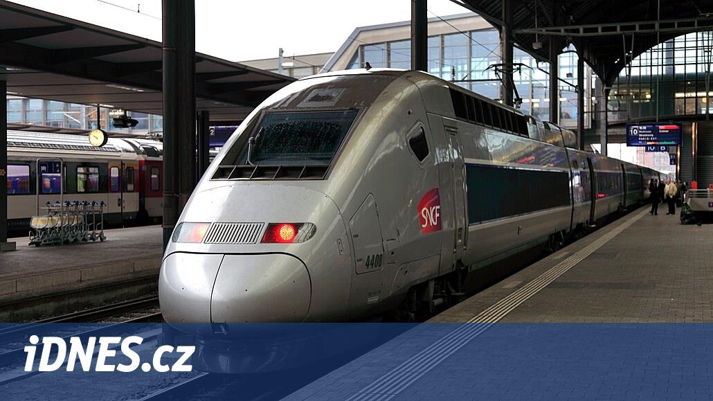Le TGV a percuté un chat, le transporteur français a dû verser une indemnité