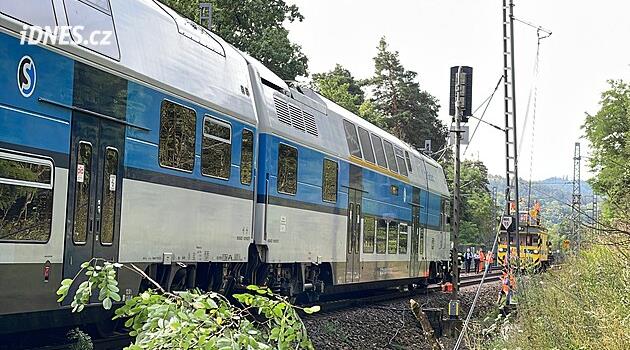 Bir demiryolu itfaiyecisi devrilen bir ağacı kaldırırken öldü