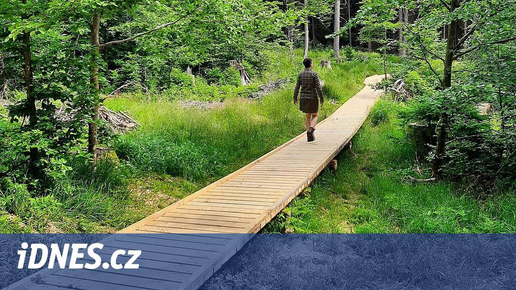 Stávající cesta na vrchol Boubína zmizí z turistických map. Nahradí ji nová