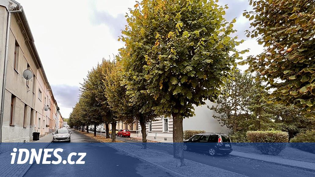 Ihlamur sokağı halkın protestolarına rağmen yıkılıyor, altındaki kanalizasyondan dışkı sızıyor