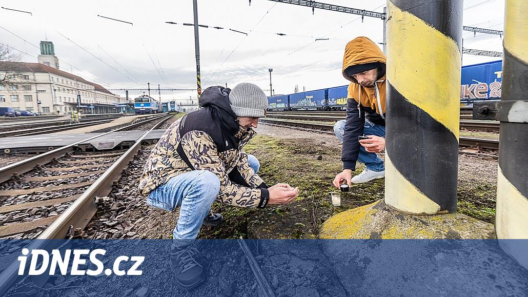 Hradec'teki Romanlar bir çocuğun öldürülmesinin ardından barış sözü verdi, şehir tedbirleri güçlendiriyor