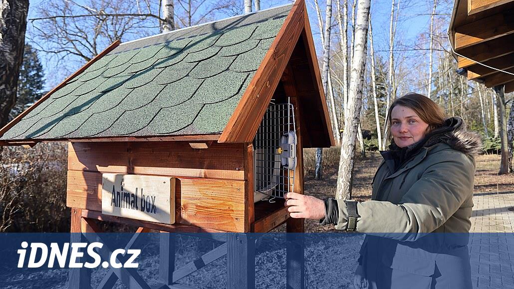 Hayvanlar için kurtarma istasyonunun başkanı, “Farklı bir kahve ama pişman değilim” diyor