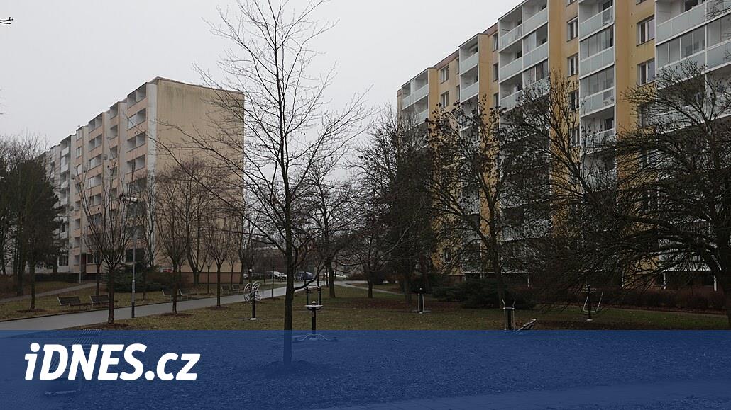 Öldürülen anne davası polisi erteledi, reşit olmayan oğlu kovuşturamaz