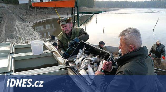 Yaylalarda avlar başlıyor. Balıklar doğrudan sudan çıkar