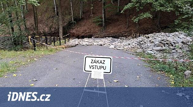 Seller 2024 | Biskupské ormanları selden zarar görüyor, yol onarımları mantar sivrisinekleri nedeniyle karmaşıklaşıyor