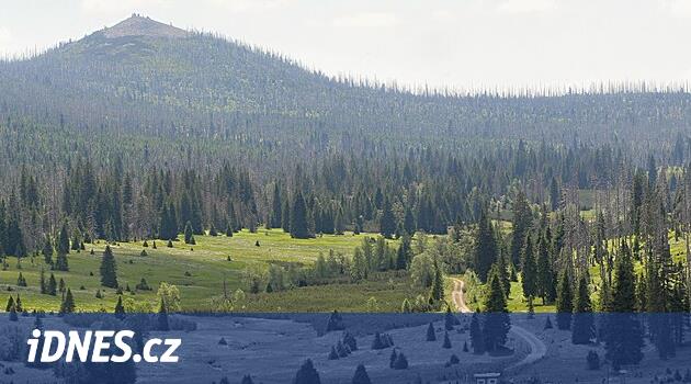 Yasada yapılan değişiklik, Šumava'nın en saygın parklar arasında dahil edilmesini tehlikeye atabilir