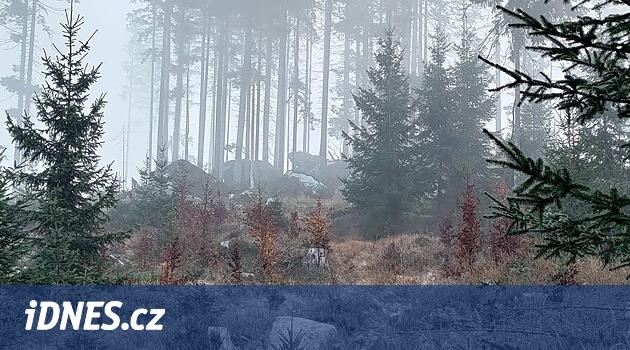 Polis Šumava'da iki göçmen kaçakçısını arıyor, görünüşe göre silahlılar