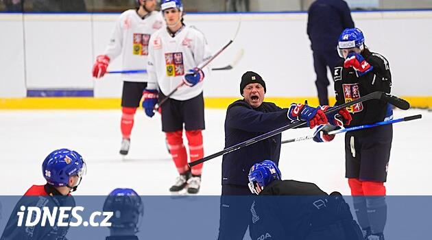 Hokey milli takımı bir sonraki turnuvanın hazırlıklarına hasta Hájek olmadan başladı
