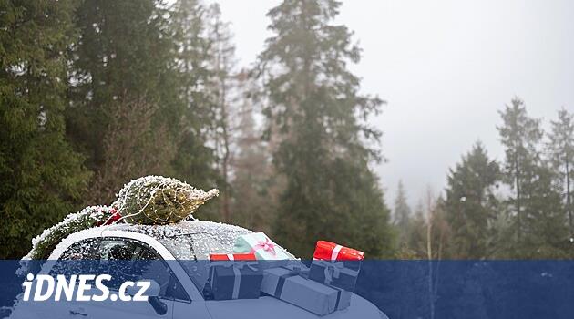 Noel günü çamurda. Çoğunlukla yağmur yağacak, yalnızca istisnai durumlarda kar yağacak