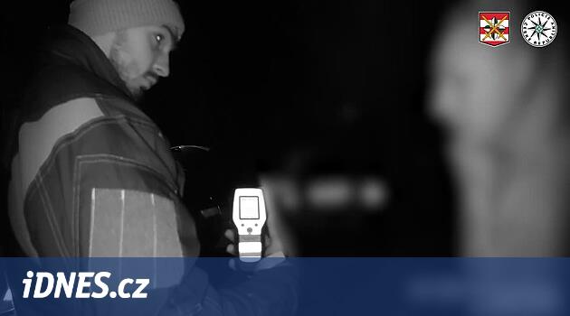 Yeterince içtim, dedi şoför. Arabanın arkasındaki elektrikli süpürgenin kablosunu çekiyordu