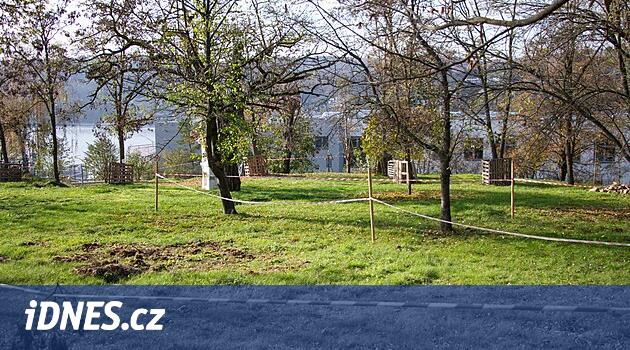 Restorasyon yerine Brno parkı ortaya çıkarıldı ve şirket iflas etti