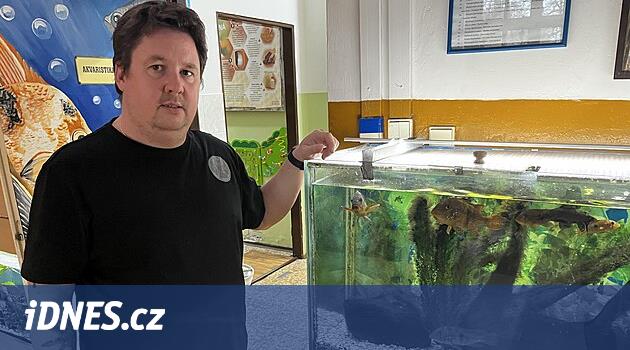 Minizoo yok olma tehlikesiyle karşı karşıyaydı ama yine de çocukları egzotik hayvanlara çekiyor