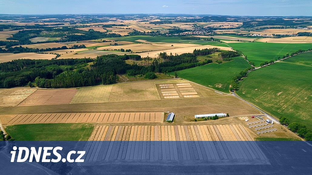 Çiftçiler ve bilim insanları toprağa karbon kazandırmak istiyor; bu, daha yüksek verim ve kazanç elde edilmesine yardımcı olacak