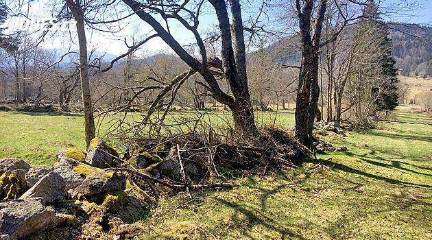 Bölge Šumava'da konut inşaatını durdurdu, proje yeniden başlangıca dönüyor