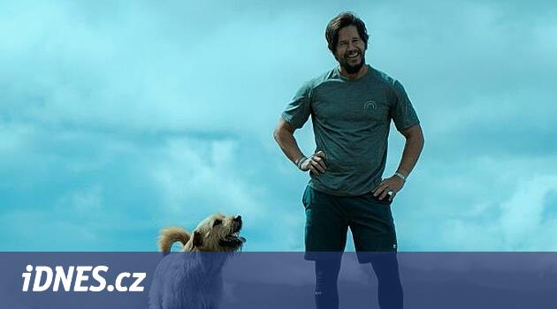 VİDEO: Kral Arthur'un saçları, burnu var ve Dominik Cumhuriyeti'nde yarışıyor