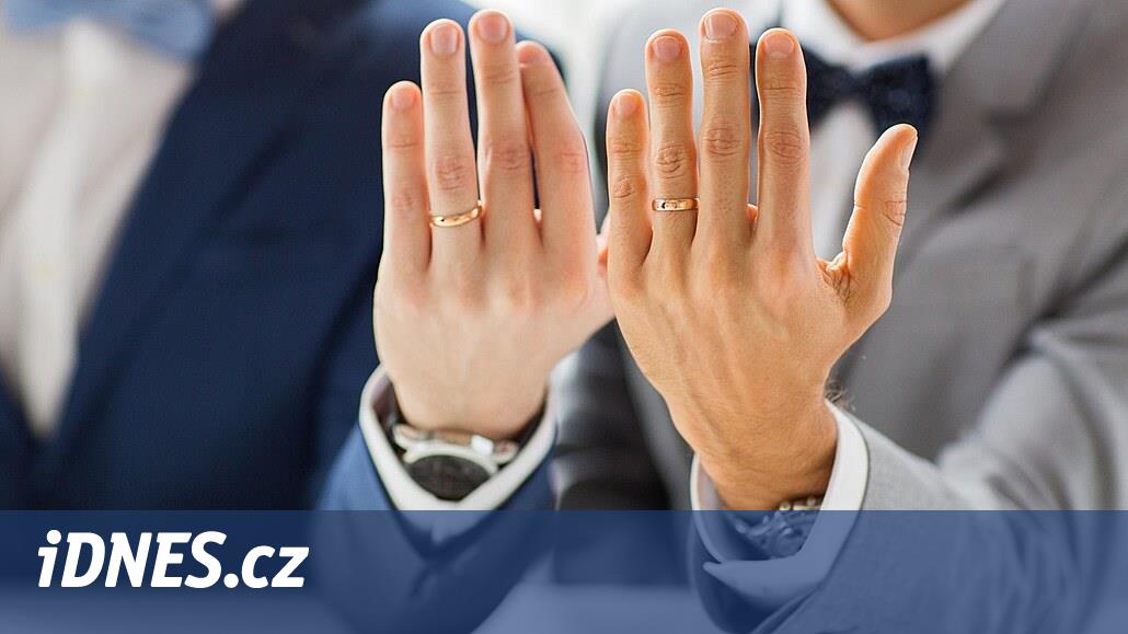 Siyaset bilimciler Senato'nun bölünmüş olduğunu, LGBT ortaklığına yönelik oyların çılgın olacağını söylüyor