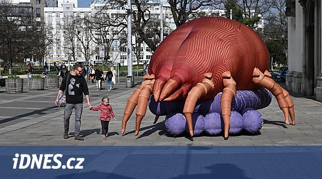 Beş metre uzunluğundaki bir akar Brno'ya yerleşti, şişirilebilir bir model günlerce süren mikroskopi için çağırıyor
