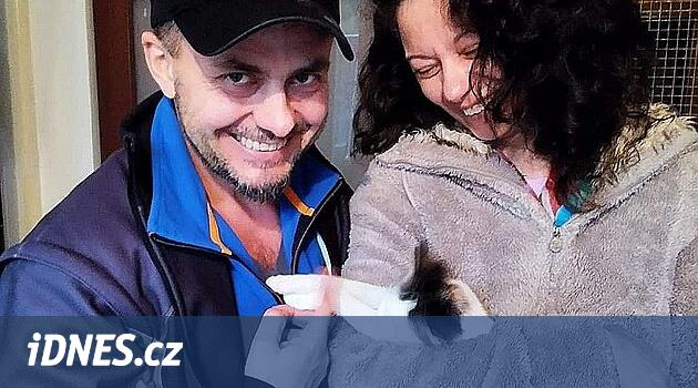 Kuyruğu kesilmiş, istismara uğrayan kedi yavrusunun yeni bir evi var, Jiřinka kurtarıcısı tarafından sahiplenildi