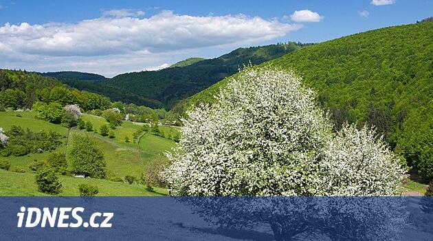 AB dışındaki ülkelerden gelen yabancılar artık Çek tarım arazisi satın alamayacak