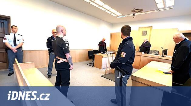 Vrchlabí'li sabıkalı, tren istasyonundaki şiddetli saldırılardan dolayı 12 yıl hapis yatacak ve kurumsal tedavi görecek