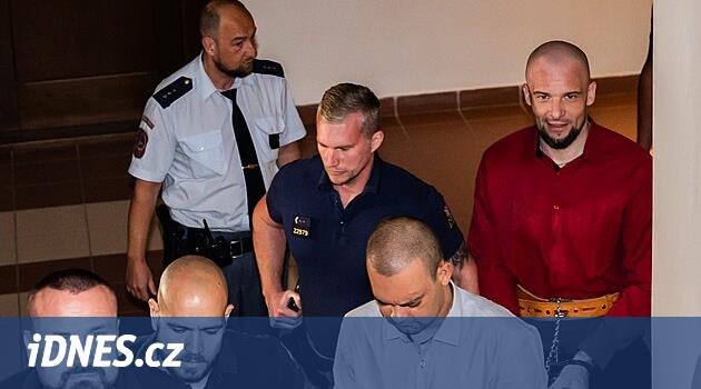 Vahşi cinayet davasının tanığı alkollü ifade vermeye geldi, hakim onu ​​evine gönderdi
