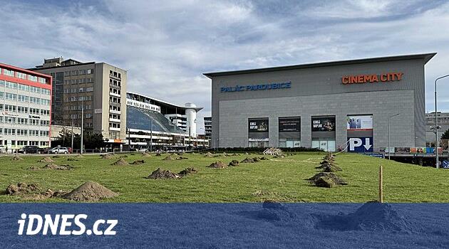 Otel yerine şehir bahçesi yapılıyor, Saray'ın yanı sıcaktan korunmak için yapılıyor