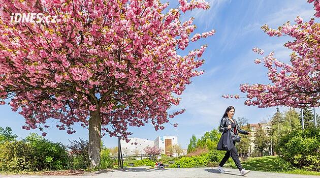 Na dva dny se oteplí až k 20 °C. Pak nastane změna, místy může i sněžit