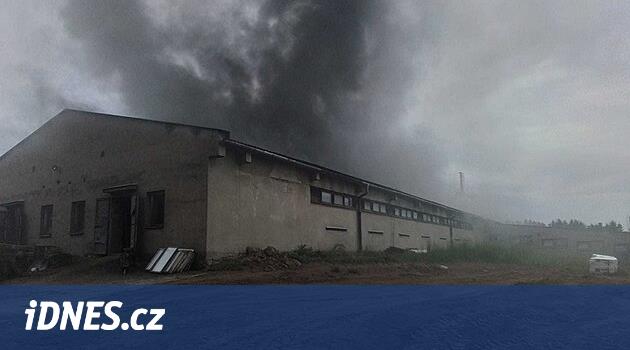 Žďársk'ta domuz yetiştiriciliğine yönelik bir salonun çatısı alev aldı, hasar 4,5 milyon kişi oldu