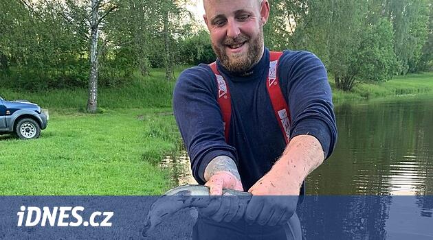 Yüzlerce balık sığ bir kanala sıkıştı, itfaiye ekipleri kurtardı