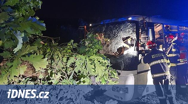 Büyük ağaç otobüsün önüne devrildi, dalları ön camı kırarak sürücüyü yaraladı