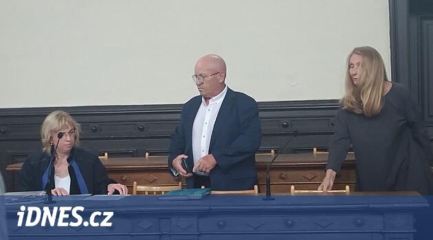 Trenle çarpışma suçundan yargılanan sürücü, bunun son yolculuğum olması gerektiğini söyledi.  Suçunu itiraf etti