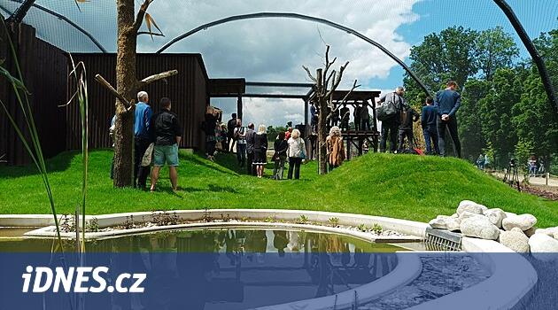 Uygun olmayan üreme alanlarından alınan hayvanlar Tábor Hayvanat Bahçesi'nde yeni bir yuva bulacak