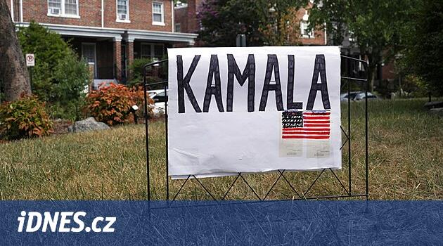 Soru-Cevap: Harris adaylıktan emin değil. Şimdi Demokratları neler bekliyor?