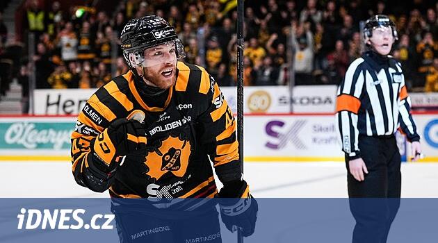 İsveçli takviye Litvínov: Çek hokeyi yükseliyor, çok fazla enerji getireceğim
