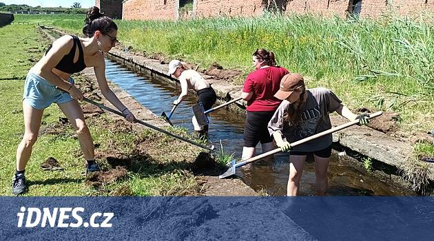 Kanalları temizliyorlar ve yeni kültürler öğreniyorlar. Yurt dışından gelen öğrenciler Terezín'i geliştiriyor