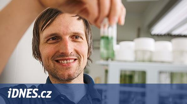 Botanikçiler havuzda iki yeni siyanobakteri türü keşfettiler ve bunlara Olomouc adını verdiler.
