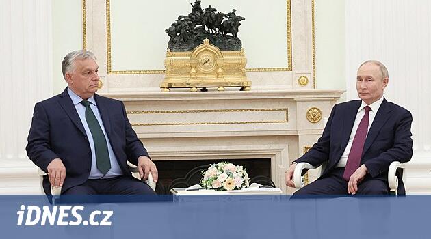 www.idnes.cz